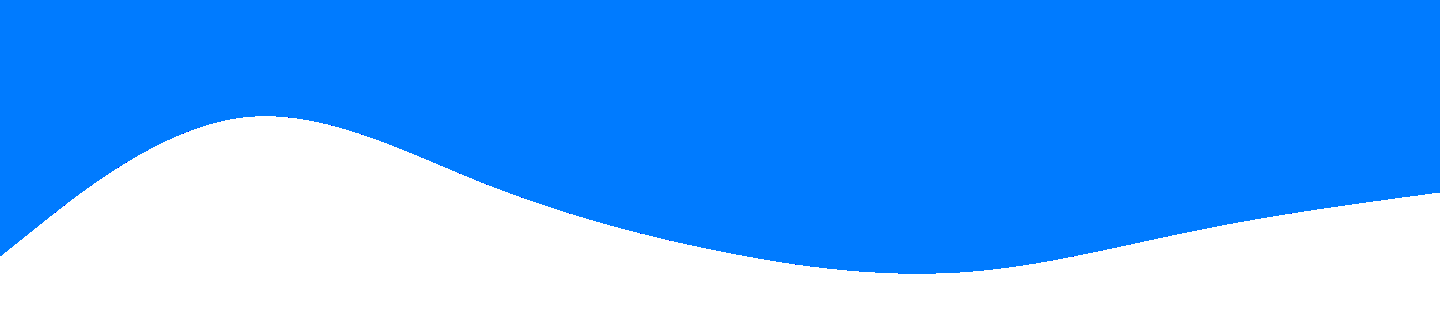 قالیشویی امیران 